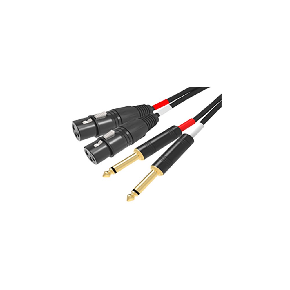 RIDEM Cavo 2 x XLR F / 2 x 6,3mm - 3mt