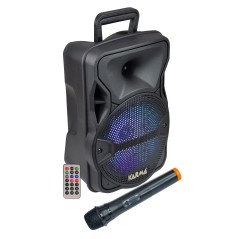 Karma Diffusore amplificato con radiomicrofono 300W PMPO