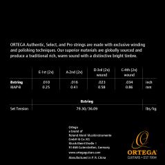 ORTEGA MAP-8