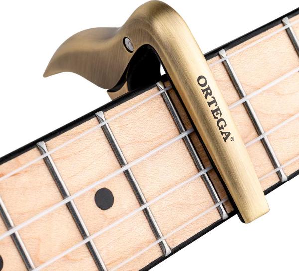 ORTEGA BGCAPO