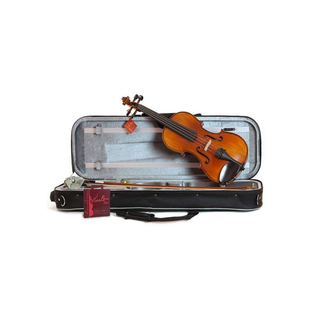 Domus Liceo VL4300 4/4 Violino