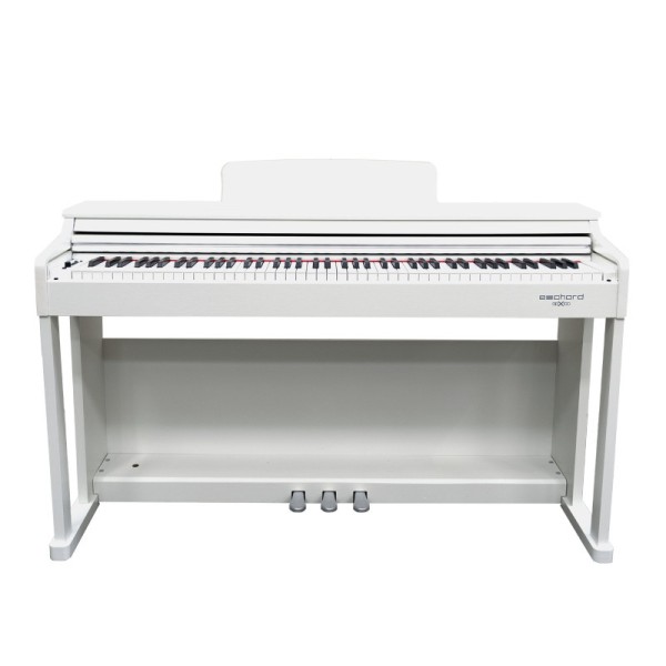 ECHORD DPX100 Satin White - PIANOFORTE DIGITALE 88 TASTI PESATI BIANCO
