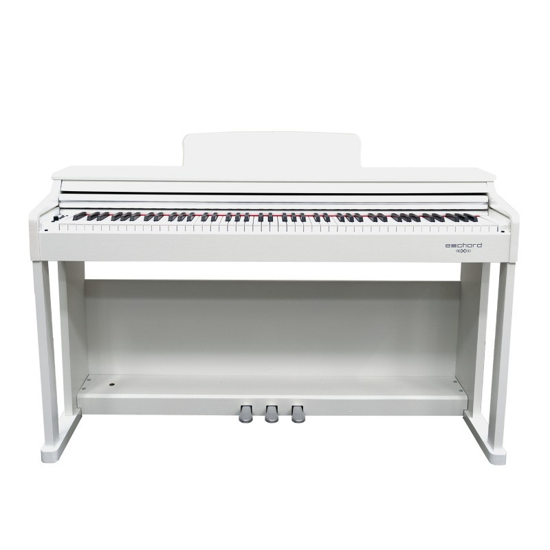 ECHORD Dpx100 White - Pianoforte digitale 88 tasti pesati bianco