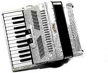 Luke & Daniel fisarmonica 48 bassi bianca con valigia e tracolla