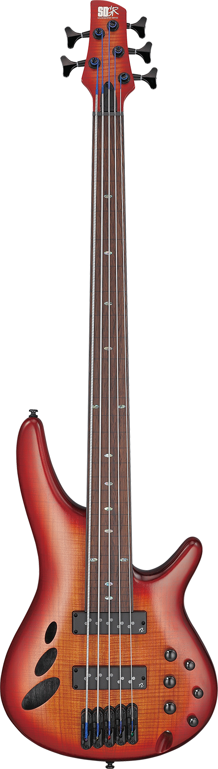 Ibanez SRD905FBTL IBA EL BASS 5ST
