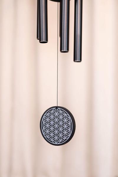 SONIC ENERGY FOLMC36BK