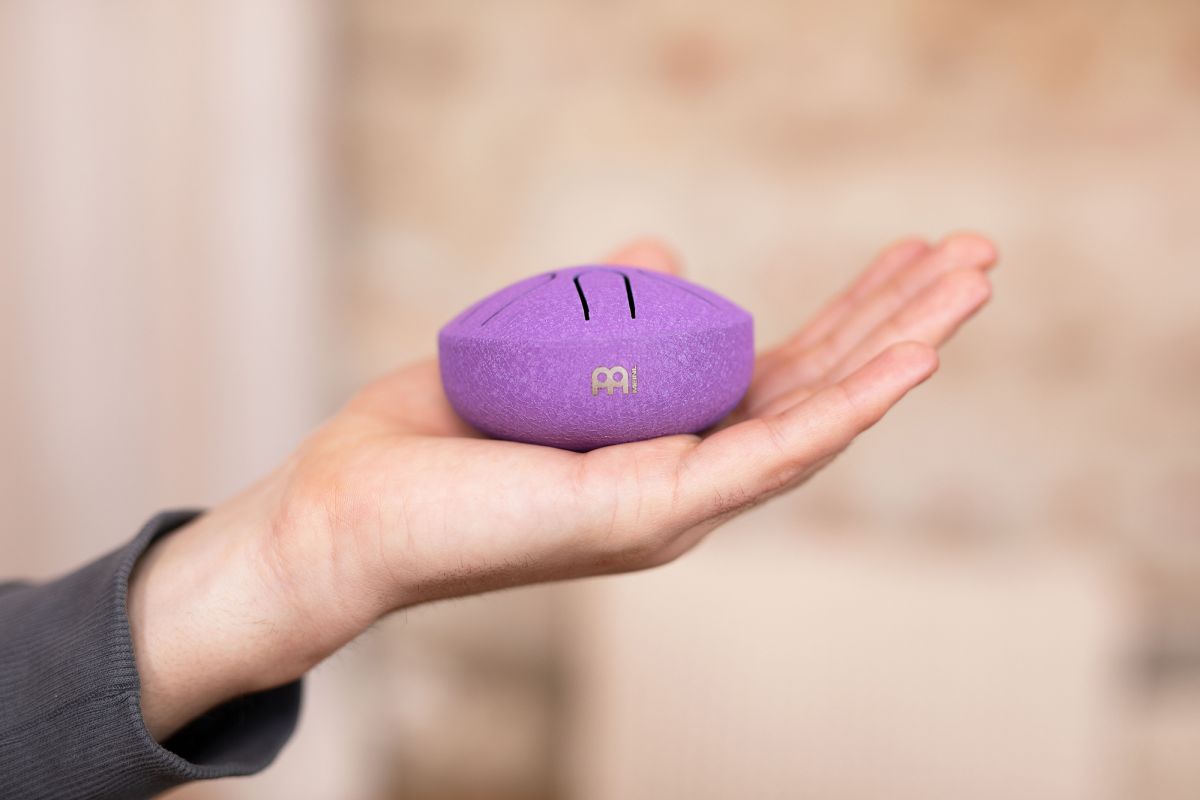 SONIC ENERGY PSTD1PLF