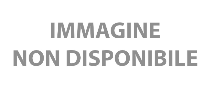 BAM ITALIA 2005XLC CUSTODIA HIGHTECH PER DUE VIOLINOI - BLACK CARBON