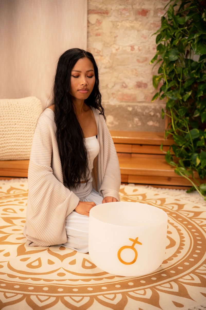 SONIC ENERGY PCSB12EPL