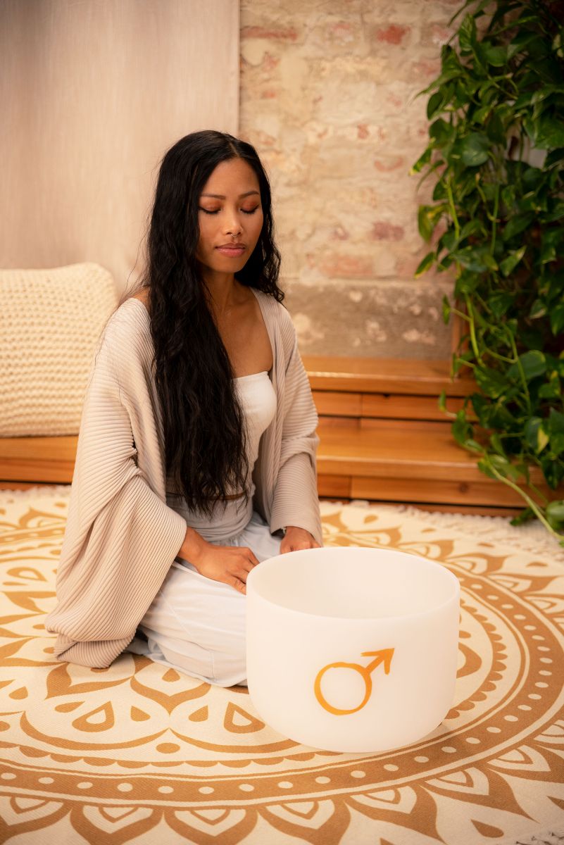 SONIC ENERGY PCSB12MA