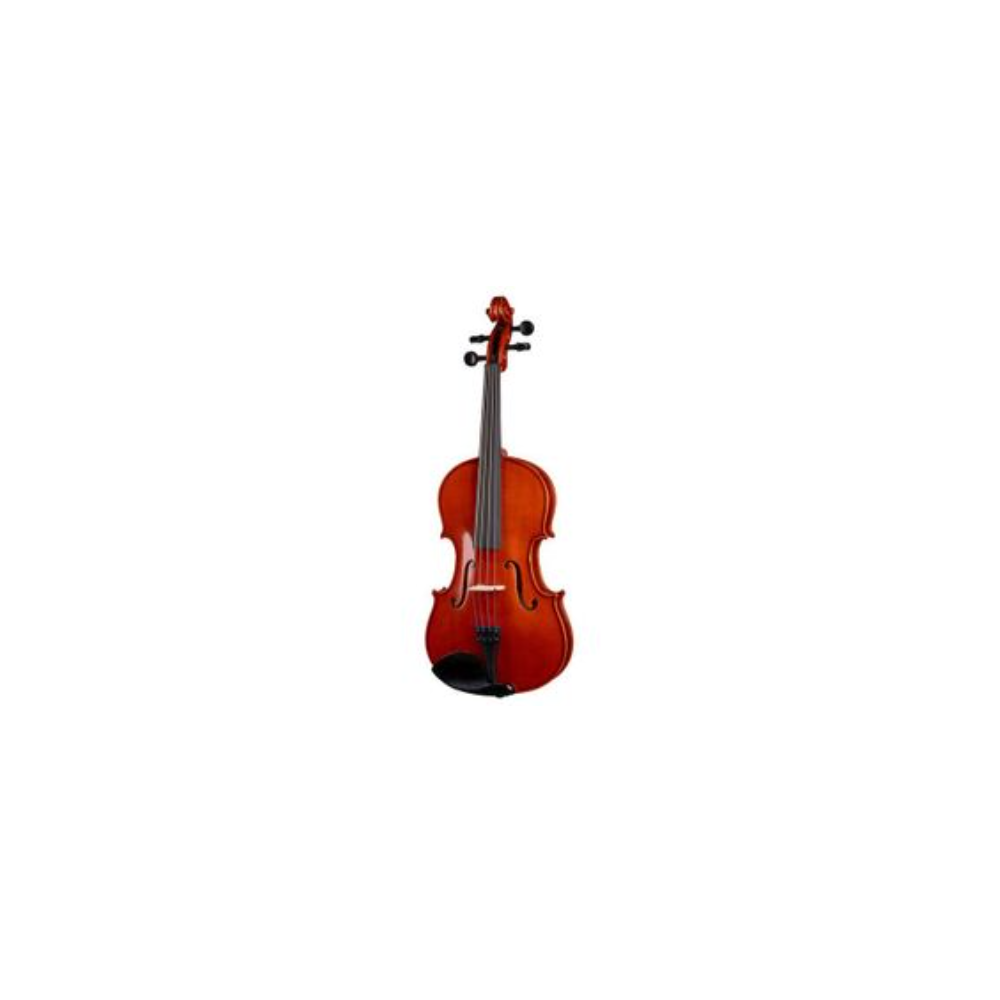 DAM Viola 15" 1/2 con custodia ed arco - VIOLA