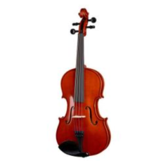 DAM Viola 15" 1/2 con custodia ed arco - VIOLA