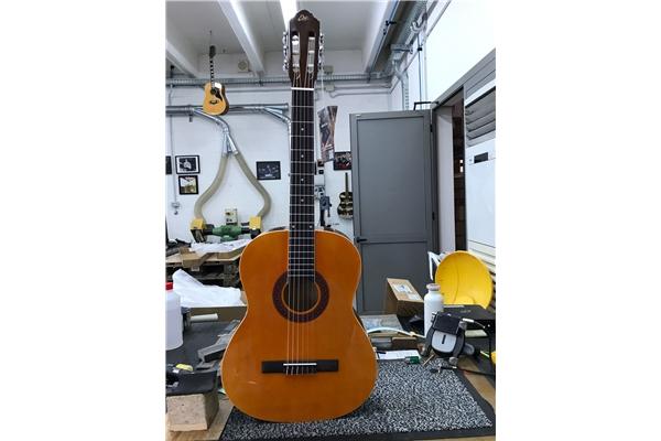 Eko Guitars CS-10 Plus
