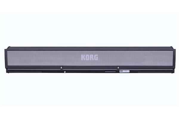 Korg PAAS 2