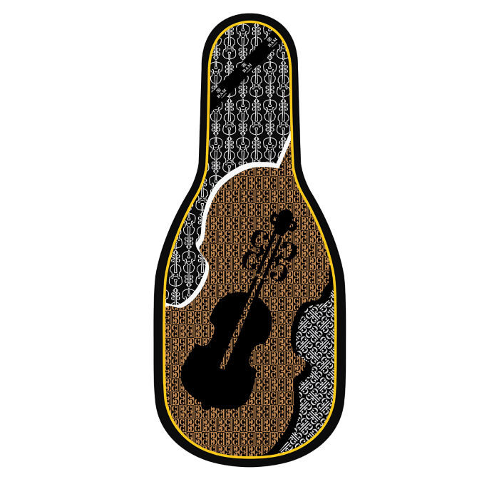 BAM ITALIA BFIC-0047 DOPPIO STRATO IN SETA PER BORSA PER VIOLIN - ORANGE