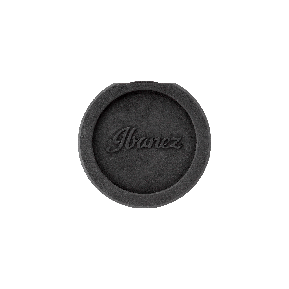 Ibanez IBA SOUND HOLE COVER
