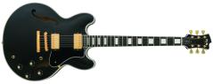 FGN Masterfield Semi Acoustic MSA-HP-C/BK - Black - c/astuccio