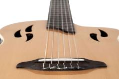 ORTEGA TOURPLAYER RTPSTD-NAT