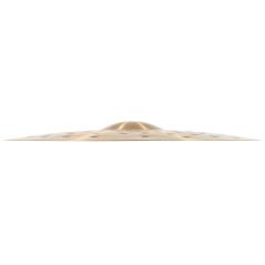 MEINL PA20EHCR