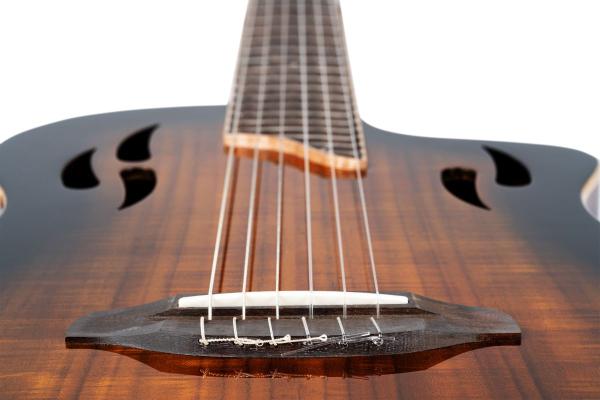 ORTEGA TOURPLAYER RTPDLX-ACA
