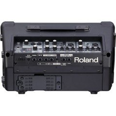 Roland CUBE Street EX - Amplificatore stereo a batterie
