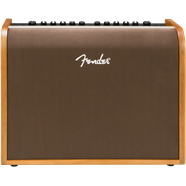 Fender Acoustic 100