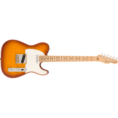 Fender American Performer Telecaster, Maple Fingerboard, Honey Burst
