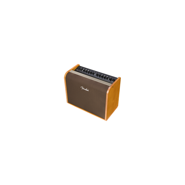 Fender Acoustic 100, 230V UK