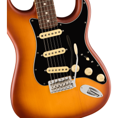 Fender American Performer Spruce Stratocaster, Rosewood Fingerboard, Honey Burst