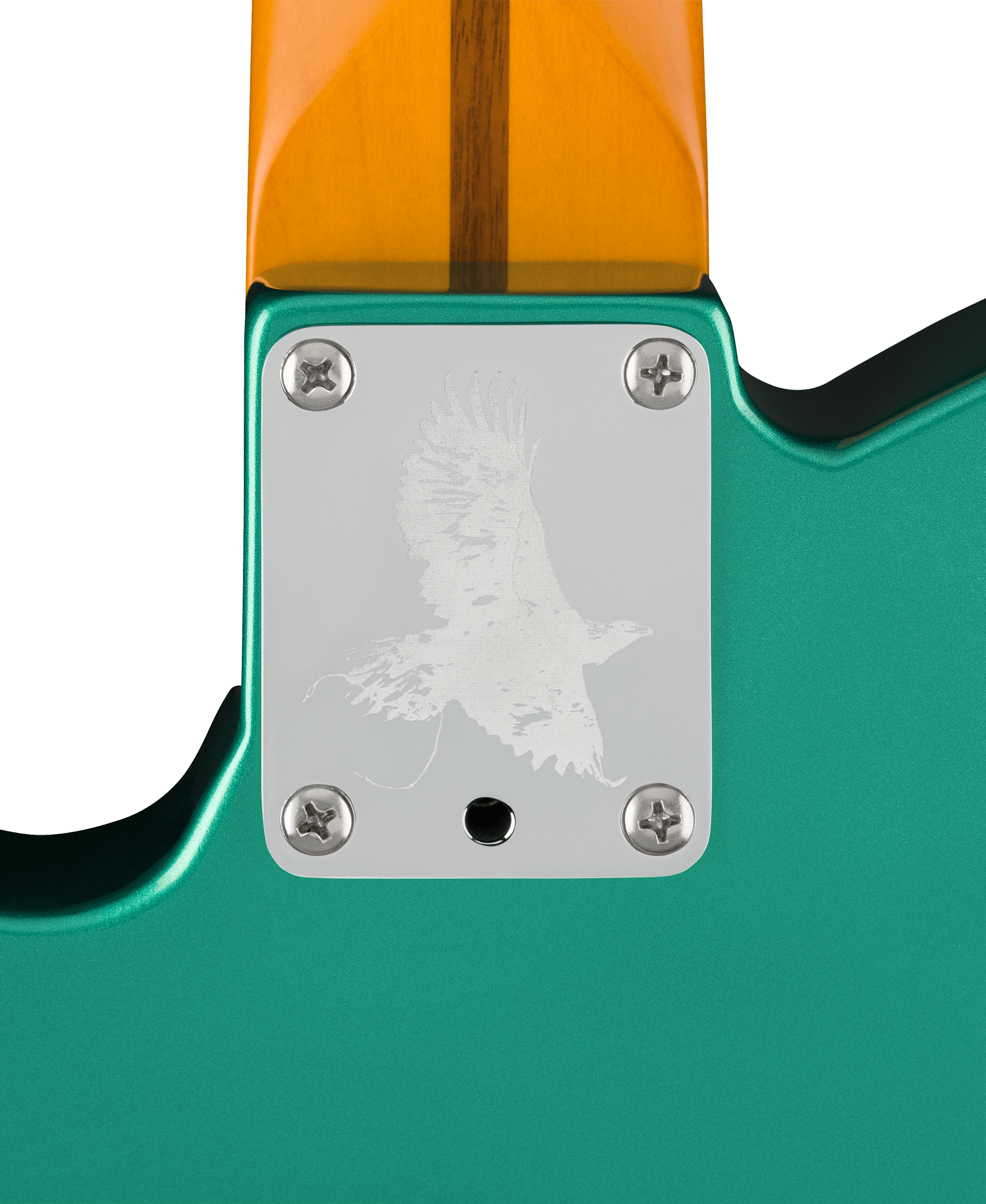 Fender Susan Tedeschi TelecasterÂ®