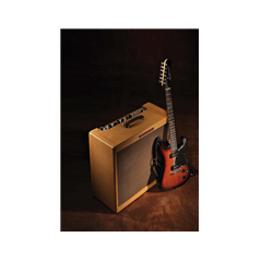 Fender '59 Bassman LTD, 230V UK