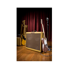 Fender '59 Bassman LTD, 230V UK