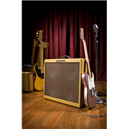 Fender '59 BassmanÂ® LTD