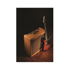 Fender '59 Bassman LTD, 230V UK