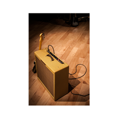Fender '59 Bassman LTD, 230V UK