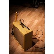 Fender '59 BassmanÂ® LTD