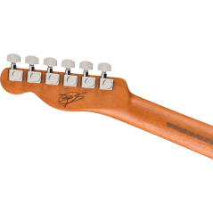 Fender FINNEAS Signature Acoustasonic Player Telecaster with Bag, Rosewood Fingerboard, Cappuccino Fade