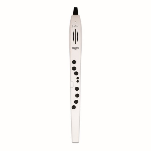 CARRY ON CO-DWI2PRO-WT - DIGITAL WIND INSTRUMENT PRO - BIANCO