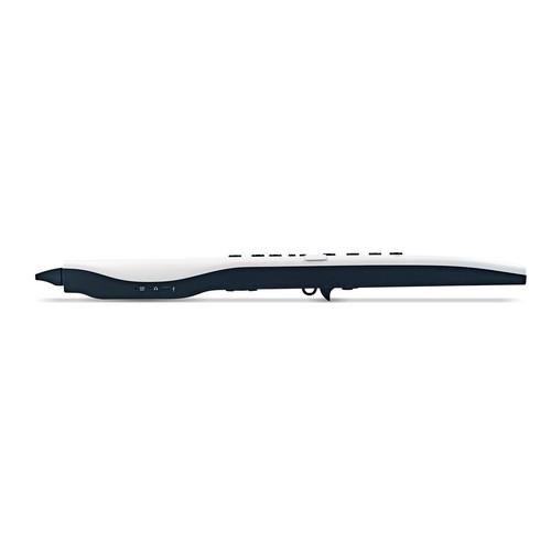 CARRY ON CO-DWI2PRO-WT - DIGITAL WIND INSTRUMENT PRO - BIANCO