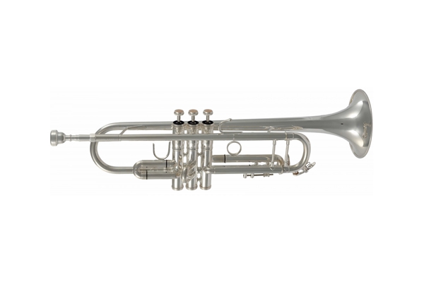 SML Paris VSM TP500S Tromba in Si b Dbutant