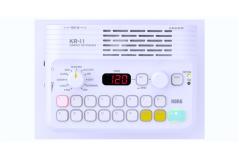 Korg KR-11