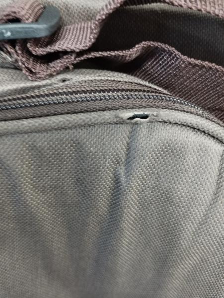 SIRE GUITARS GIGBAG - ACOUSTIC GUITAR STANDARD