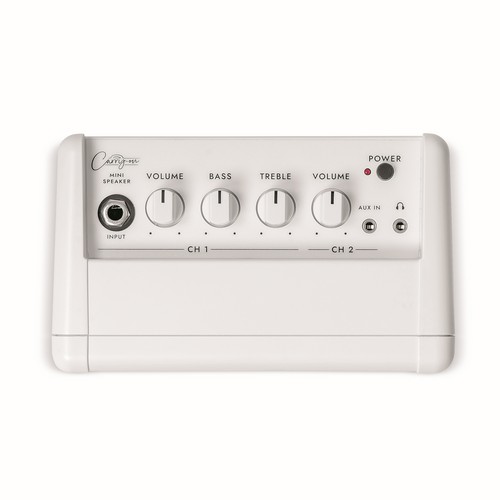 CARRY ON CO-SPEAKER - MINI SPEAKER