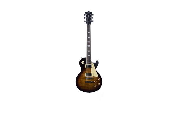 Eko Guitars LS-300 Honey Burst