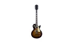 Eko Guitars LS-300 Honey Burst