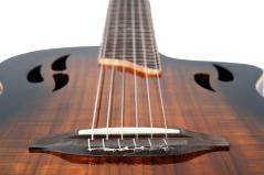 ORTEGA TOURPLAYER RTPDLX-ACA