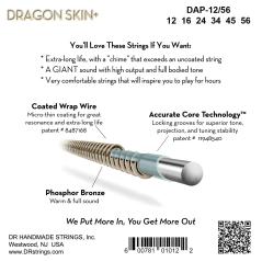 DR DAP-12/56 AGON SKIN +