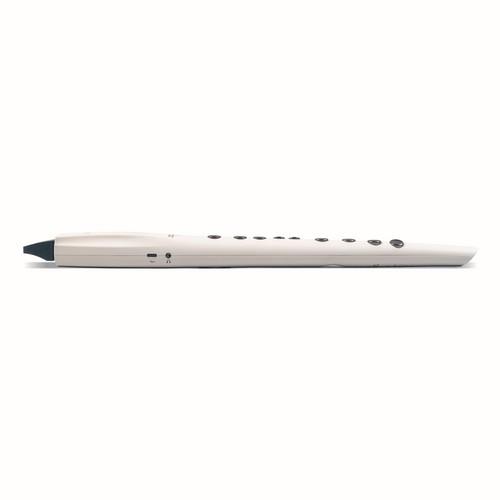 CARRY ON CO-DWI2PLUS-WT - DIGITAL WIND INSTRUMENT PLUS - BIANCO
