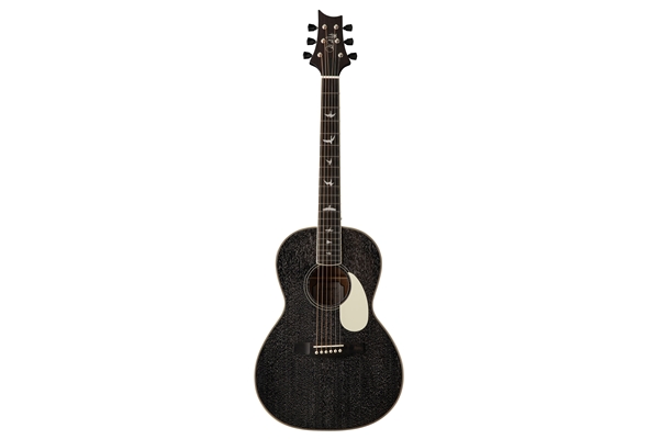 PRS SE P20E Doghair Gloss 2025