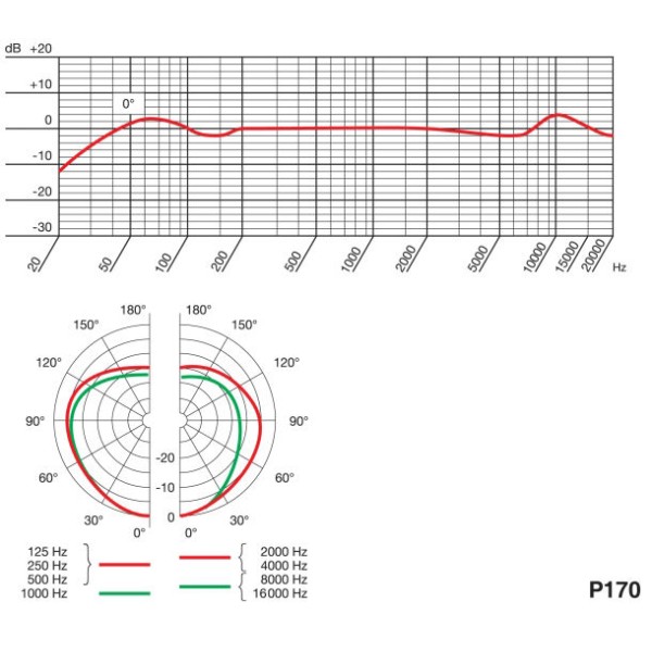 AKG P170 - MICROFONO CARDIOIDE A CONDENSATORE PER STRUMENTI